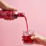Momordica | Pancar Kvass Mix 250ml